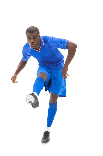 米乐体育 APP 界面展示